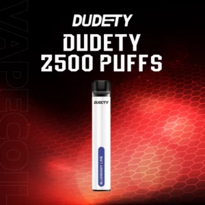 dudety 2500 puffs-blueberry lime