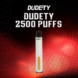 dudety 2500 puffs-melon