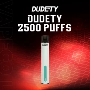 dudety 2500 puffs-mint