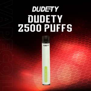 dudety 2500 puffs-strawberry kiwi