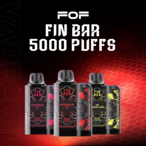 fin bar 5000puffs