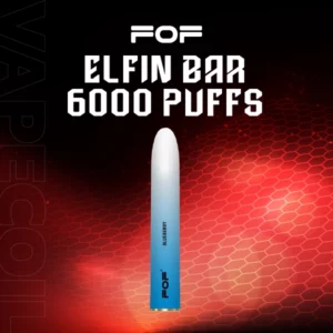 fof elfin bar 6000puffs-blueberry