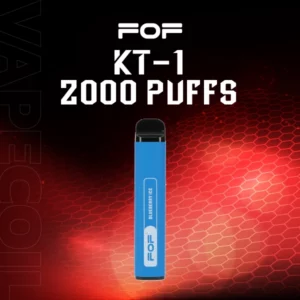 fof kt-1 disposable kit 2000 puffs-blueberry ice