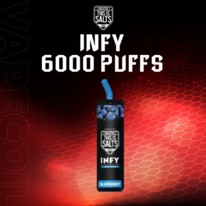 infy 6000puffs-blue berry