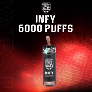 infy 6000puffs-choco mint