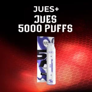 jues 5000 puffs-blueberry ice