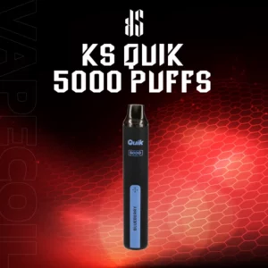 ks quik 5000 puffs blueberry