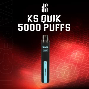 ks quik 5000 puffs cool mint