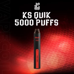 ks quik 5000 puffs iced cola