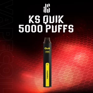 ks quik 5000 puffs -pineapple