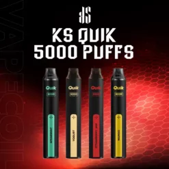 ksquik 5000 puffs