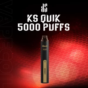 ksquik 5000 puffs-longan