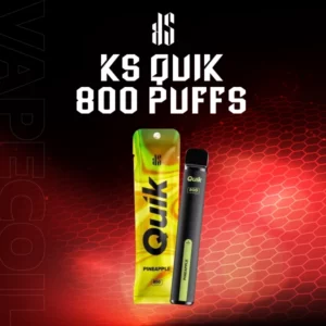 ksquik 800 puffs-pineapple