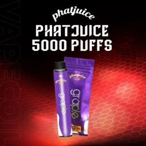 phatjuice 5000 puffs