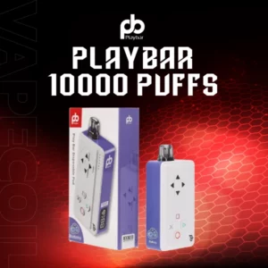 playbar 10000 puffs blueberry