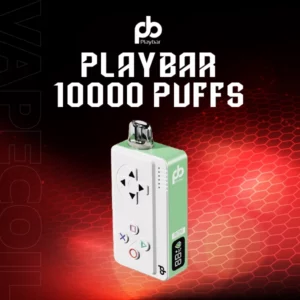 playbar 10000 puffs mint