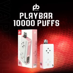 playbar 10000 puffs raspberry