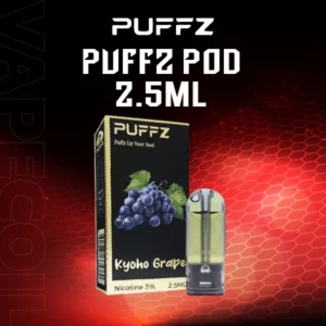 puffz-2.5ml-kyoho grape