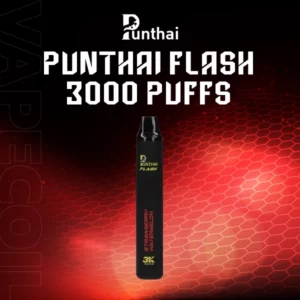 punthai flash 3000 puffs doublemint