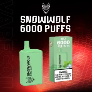 snowwolf 6000 puffs-cool mint