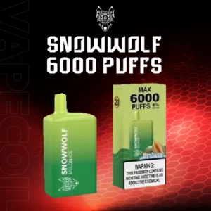 snowwolf 6000 puffs-melon ice