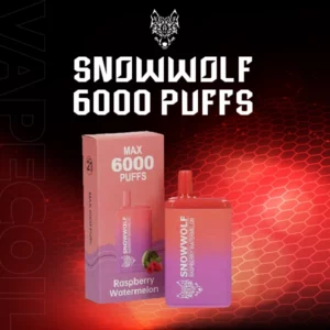 snowwolf 6000 puffs-raspberry watermelon