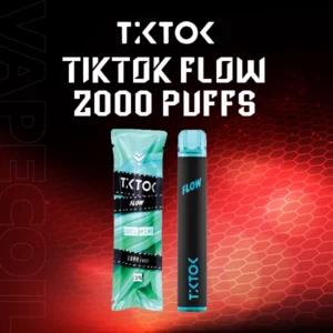 tiktok flow 2000 puffs-cool mint
