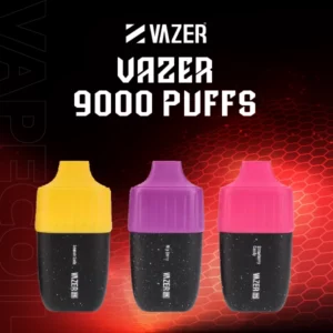vazer 9000 puffs