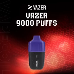 vazer 9000 puffs disposable pod-blueberry