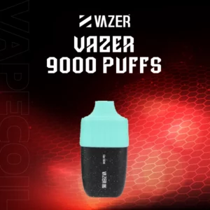 vazer 9000 puffs disposable pod-cool mint