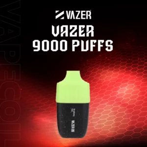 vazer 9000 puffs disposable pod-strawberry kiwi