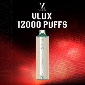 vlux12000puff-DoubleMint