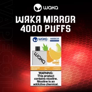 waka mirror 4500 puffs by relx-pinenana melon