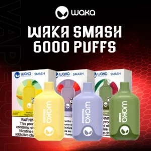 waka smash 6000 puffs