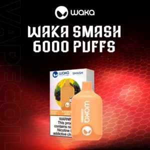 waka smash 6000 puffs-blackberry surge