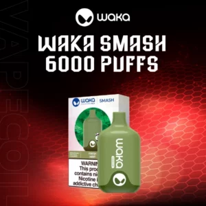 waka smash 6000 puffs-fresh mint